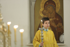HODV8598