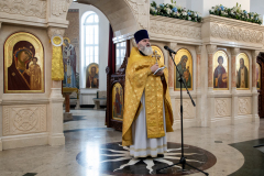 2026.02.22-Proshhenoe-Voskresenie_Aleksandr-204