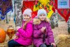 VAL_3178