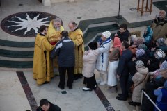 5332662666830482440
