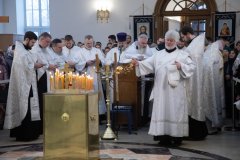 2026.02.14-Roditelskaya-Subbota_Aleksandr-220